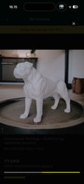 Hvid amerikansk bulldog figur