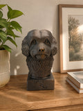 Sort spaniel hundebuste