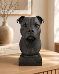 Staffordshire Bullterrier buste i mat sort set forfra